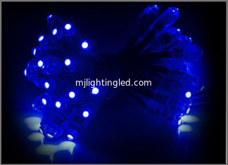 CHINA Blaue Pixel Beleuchtung führte der Nachtlicht-5V Pixel-Modul-Funkeln-Weihnachtsdekoration Hochzeits-Weihnachtsder licht-LED im Freien fournisseur