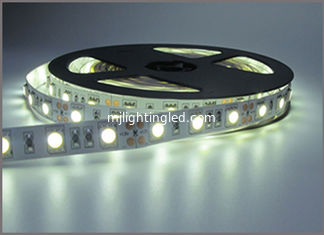 CHINA LED-Band 5050 SMD 600led Wasserdichtes 5M DC12V Flexibles Led-Band 60Leds/M Weiße Dekorationsstring fournisseur