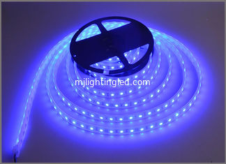 CHINA Blaue des Lampenbandketten-Lichtes 60led/m des Streifenlichtes 12V LED errichtende Dekoration fournisseur