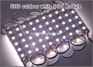 CHINA 5LED SMD 5050 Module Wasserdicht LED Rücklicht Modul für Schriftzeichen DC12V 1.2W 5 Led 75mm*12mm 20pcs/String fournisseur