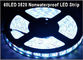 Nicht wasserdichtes LED-Streifen 5M 60Leds/M 3528 SMD Weißes Flexibles Licht LED-Band Party Dekorationslampen fournisseur