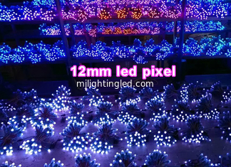 CHINA CER Rohs Colorfull führte Lampe 12mm RGB Pixel für die Werbung von Buchstaben 3D RGB-Bildschirm. fournisseur
