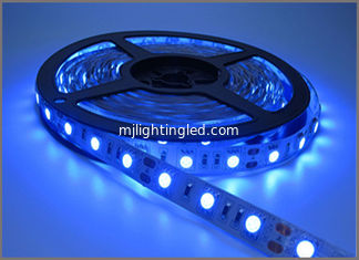CHINA Band führte des Band-flexibles Blau-LED Feiertags-Licht Licht-des Streifen-IP20 12V 5050 SMD 60leds 300 LED 60leds/M fournisseur
