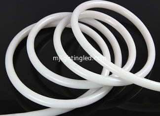 CHINA 220V LED-Licht Neonstreifen Rund D13mm 15mm 19mm 22mm Flexibles Licht für Außendekorationen fournisseur
