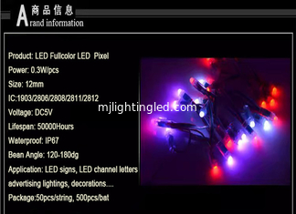 CHINA 12MM 5V Vollfarbe Digital Rgb Led Pixel1903IC String Pixel Lichter T-1000S Steuerungen Programmierbare Werbezeichen fournisseur