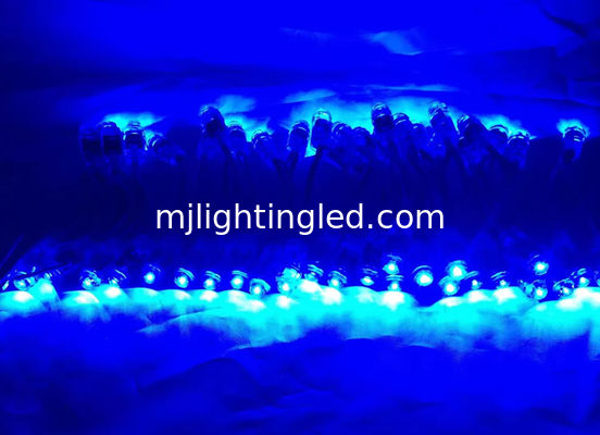 CHINA 9mm LED Pixel Modul String Light Bule Farbe IP68 5V Dekorationsleuchten für Feiertage, Weihnachten und Festival Anbieter