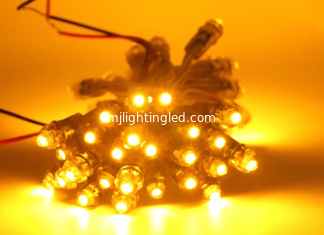 CHINA 9mm 12V LED Pixel Licht IP68 Einfarbiges LED Pixel Modul für Lochbeleuchtung Brief fournisseur