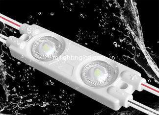 CHINA 12V 1W 2Led Injektionsmodul Licht 44*12 Mini-Pixelmodule für Werbe-Lightbox fournisseur