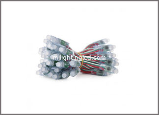 CHINA Zugängliches neues Modul von RGB LED zeigt Chain 12mm 0.3W 5V 8206IC fournisseur