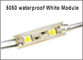 Geführtes Modul für Zeichenmodul-Lampenlicht 5050 SMD 2LED RGB/Red/Blue/Warm/White der Anschlagtafel LED imprägniern DC 12V fournisseur