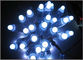 Hochwertiges 12mm RGB Led-Licht Led-Punktlicht Adressierbares LED-Streifenlicht Für Weihnachtsdekoration fournisseur