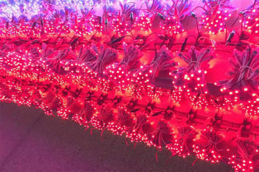 9mm Digital Pixel Modul 5V/12V LED Licht für wasserdichte Werbebriefe fournisseur