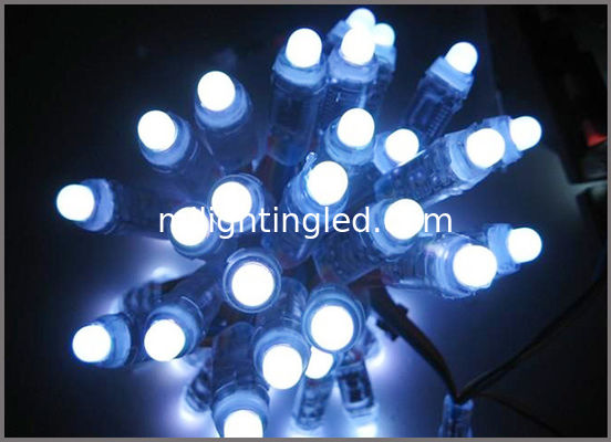 Vollfarbige 12mm UCS1903 digital adressierbare LED-Pixel-Lichterkette 50 Stück/String für Weihnachtsdekoration Anbieter