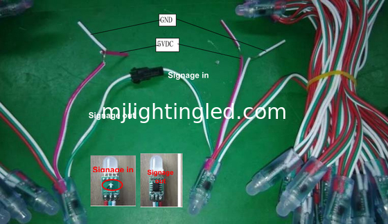 12mm 5V farbenfrohe LED-Pixel Licht 2802/2806/2811/1903IC für Weihnachtsdekoration fournisseur