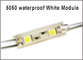 5050SMD 2 Led-Modullicht 12V-LED-Signalmodule 12V-Lampenlicht RGB/Rot/Blau/Wärm/Weiß Wasserdicht fournisseur