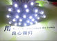 9mm LED Pixellicht Weiße Farbe 5V/12V Punktlicht für Led-Buchstaben fournisseur