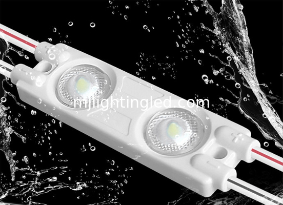 12V 1W 2Led Injektionsmodul Licht 44*12 Mini-Pixelmodule für Werbe-Lightbox fournisseur