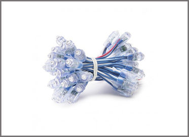 DC5V 12mm Glühbirne LED-Buchstaben Blaue LED-Pixel-String-Signalbeleuchtung Led-Kanalbuchstaben fournisseur