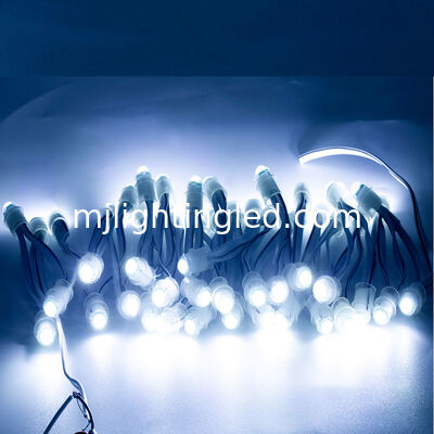 DC5V 9mm LED-Pixelmodule IP68 Wasserdichte Punktbeleuchtung für Werbeanzeigen Anbieter