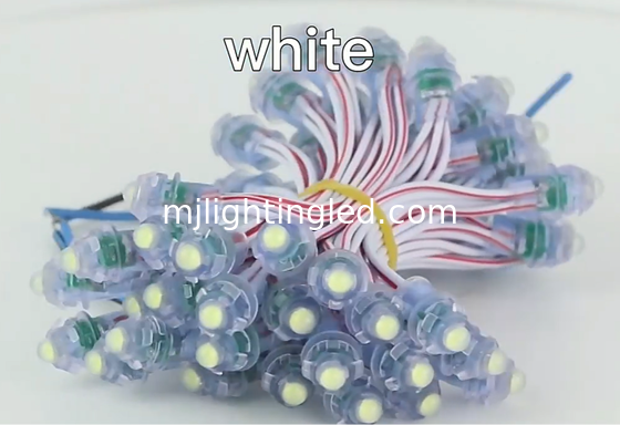 DC5V 9mm LED-Pixelmodule IP68 Wasserdichte Punktbeleuchtung für Werbeanzeigen Anbieter