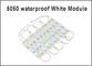 Module des Weiß-5050 LED imprägniern IP65 geführte geführte Hintergrundbeleuchtung Module DCs 12V SMD 3 LED Zeichen für die weißen Kanal-Buchstaben fournisseur