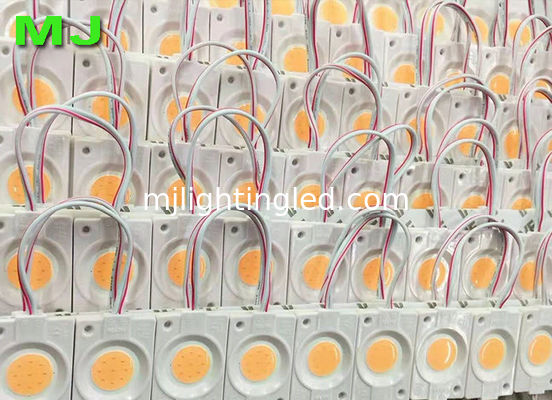 Wasserdichtes SMD COB-LED-Modul 2,4 Watt DC12V hohe Helligkeit für Werbeanzeigen Anbieter