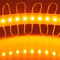 PFEILER geführtes PFEILER Modul Constant Voltages 12v des Modul-2.4w 5016 geführtes CER-ROHS weiße Farbe fournisseur
