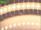 CER ROHS 2.4w 5016 PFEILER geführtes Modul 12V rote/grüne/blaue/gelbe/weiße/rosa Module für geführte Hintergrundbeleuchtung fournisseur