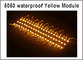 LED-Modul 5050 3 LED DC12V wasserdichte Modul-weiße Farbsuper helle Beleuchtung des Anzeigen-Entwurfs-LED fournisseur